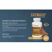 MH CATMAXX